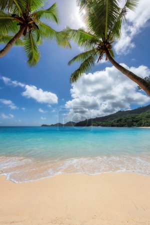 Téléchargez les photos : Plage de sable blanc ensoleillée avec cocotier et mer turquoise. Vacances d'été et concept de plage tropicale. - en image libre de droit