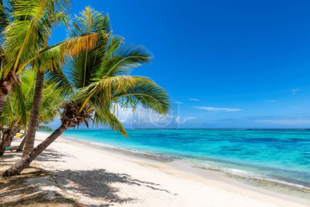 Exotischer Korallenstrand mit Palmen und tropischem Meer auf Mauritius. Sommerurlaub und tropisches Strandkonzept.