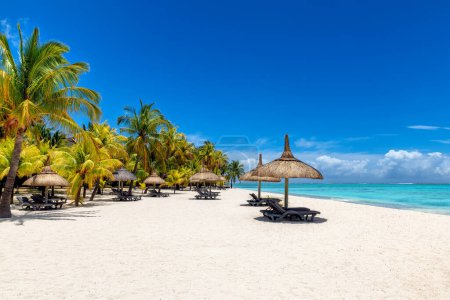 Photo for Tropical beach. Beach umbrellas in tropical beach with palm trees and tropical sea in Paradise Mauritius island. - Royalty Free Image