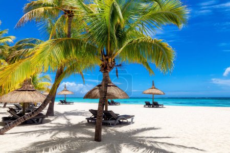 Photo for Tropical beach. Beach umbrellas in tropical beach with palm trees and tropical sea in Paradise Mauritius island. - Royalty Free Image