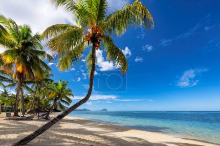 Photo for Tropical sandy beach with coco palms and shadows on the sand, and the turquoise sea on tropical island. - Royalty Free Image