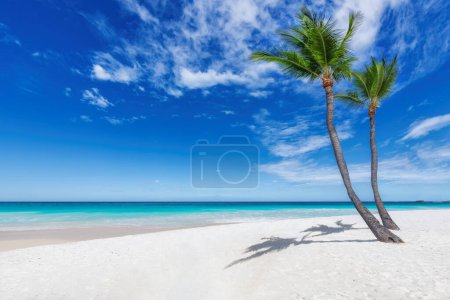 Photo for Beautiful tropical beach with palms, white sand and turquoise sea in Jamaica island. Summer vacation and tropical beach concept. - Royalty Free Image