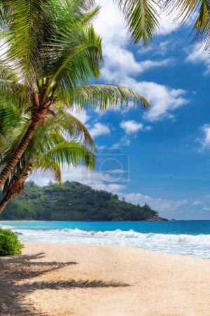 Photo for Beautiful beach with palm trees and turquoise sea in Jamaica island. - Royalty Free Image