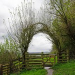 Entrance to Avalon Orchard in Somerset near Glastonbury Tor