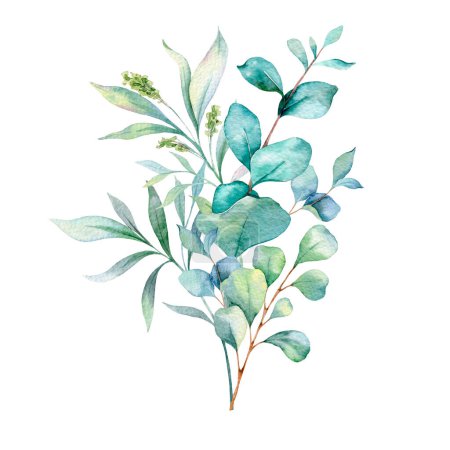 Photo for Eucalyptus Watercolor Illustration. Eucalyptus Greenery Hand Painted isolated on white background.  Perfect for wedding invitations, floral labels, bridal shower and  floral greeting cards - Royalty Free Image