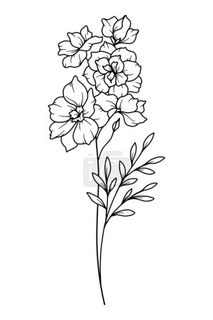 Illustration for Larkspur Line Art. Delphinium outline Illustration. July Birth Month Flower. Delphinium outline isolated on white. Hand painted line art botanical illustration. - Royalty Free Image