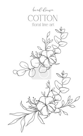 Handgezeichnete Baumwollblumen Line Art Illustration. Wattebällchen isoliert auf weiß. Floral Line Art. Baumwollpflanze Schwarz-Weiß-Illustration. Feine Linie Baumwolle Illustration. 