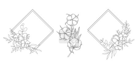 Handgezeichnete Baumwollblumen Line Art Illustration. Wattebällchen isoliert auf weiß. Floral Line Art. Baumwollpflanze Schwarz-Weiß-Illustration. Feine Linie Baumwolle Illustration. 