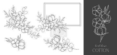 Handgezeichnete Baumwollblumen Line Art Illustration. Wattebällchen isoliert auf weiß. Handgezeichneter floraler Rahmen. Baumwollpflanze Schwarz-Weiß-Illustration. Feine Linie Baumwolle Illustration. 