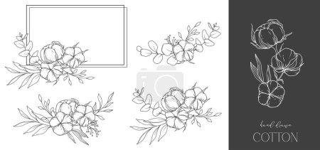 Handgezeichnete Baumwollblumen Line Art Illustration. Wattebällchen isoliert auf weiß. Handgezeichneter floraler Rahmen. Baumwollpflanze Schwarz-Weiß-Illustration. Feine Linie Baumwolle Illustration. 
