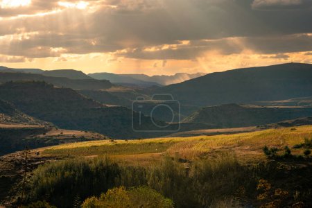 Fields of crops against the backdrop of mountains in Daliwe, Lesotho