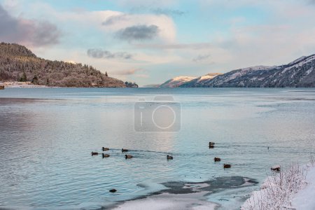Loch Ness on an icy winter day, with ducks swimming in the foreground and mountains in the distance