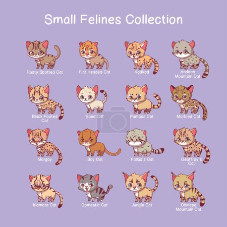 Illustration for Small feline illustrations with name text - Royalty Free Image