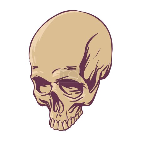 Illustration for Realistic skull drawn for tattoo, horror design. Symbol of death. Vector clipart - Royalty Free Image
