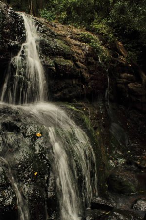 Téléchargez les photos : Belle cascade vattakanal et ruisseau levinge, contreforts de montagne palani à kodaikanal au tamilnadu, Inde du Sud - en image libre de droit