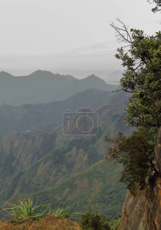 Téléchargez les photos : Paysage de montagne pittoresque de plateau de decan, belles collines palani de la station de colline kodaikanal à tamilnadu, Inde du Sud - en image libre de droit