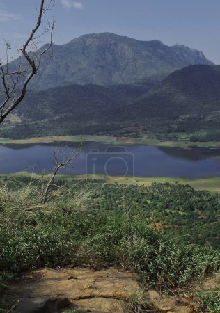 Téléchargez les photos : Paysage de montagne pittoresque de plateau de decan, belles collines palani de la station de colline kodaikanal à tamilnadu, Inde du Sud - en image libre de droit