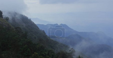 Téléchargez les photos : Paysage pittoresque, belle vue sur les collines palani (partie des montagnes de ghats occidentaux) à la station de colline kodaikanal à tamilnadu, Inde du Sud - en image libre de droit