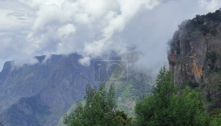 Téléchargez les photos : Paysage montagneux pittoresque et vue panoramique sur les collines palani de la station de colline kodaikanal à tamilnadu, Inde du Sud - en image libre de droit