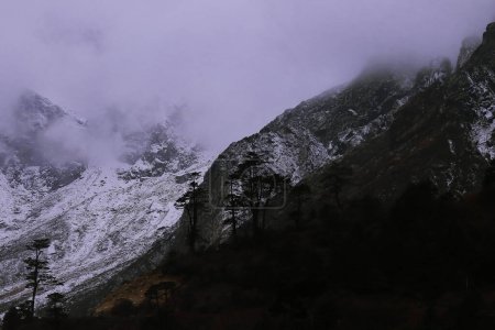malerische Berglandschaft, schneebedecktes Himalaya-Gebirge und bewölkt-nebliger alpiner Wald in der Nähe des Nullpunktes im Norden von Sikkim, Indien