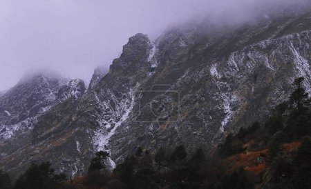 malerische Berglandschaft, schneebedecktes Himalaya-Gebirge und bewölkt-nebliger alpiner Wald in der Nähe des Nullpunktes im Norden von Sikkim, Indien
