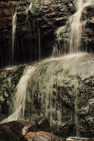 Téléchargez les photos : Cascade vattakanal, la belle source est située dans une forêt tropicale sur les contreforts des montagnes palani, station de colline kodaikanal à tamilnadu, en Inde - en image libre de droit