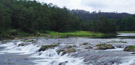 beautiful pykara river flowing through the lush valley and pine forest covered nilgiri mountain foothills near ooty hill station in tamilnadu, india