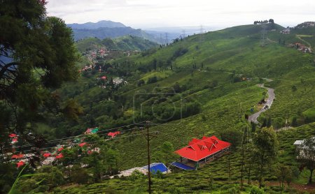 panorama of lush green himalaya mountain foothills and famous darjeeling tea garden from tingling view point in monsoon season, near darjeeling, india