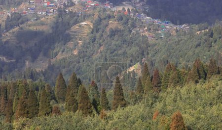Foto de Vista panorámica exuberante verdes montañas himalaya estribaciones desde el punto de vista simana basti, en la frontera internacional de la India y nepal, darjeeling, la India - Imagen libre de derechos