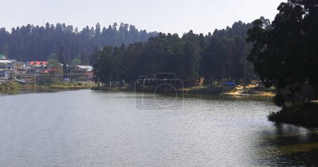 beautiful view of mirik lake surrounded by pine forest, located on himalaya mountains foothills area in darjeeling district of west bengal, india