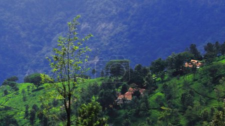 panorama des collines verdoyantes et verdoyantes de nilgiri et champ de terrasse, jardin de thé de coonoor près de la station ooty hill à tamilnadu, Inde du Sud