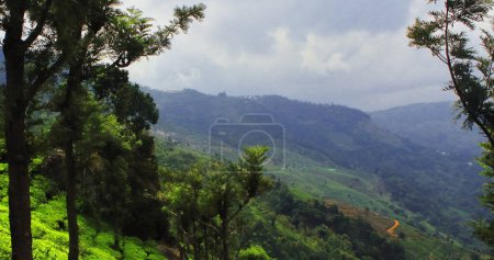 panorama de exuberante verde nilgiri montaña estribaciones y terraza campo, jardín de té de coonoor cerca ooty colina estación en tamilnadu, sur de la India