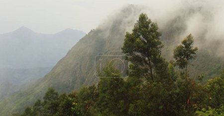 Téléchargez les photos : Nuages de mousson se rassemblant sur les collines palani, une partie de la chaîne de montagnes des ghats occidentaux, désert de forêt tropicale humide, kodaikanal in tamilnadu, Inde - en image libre de droit