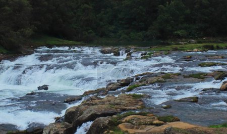 cascada pykara, la hermosa cascada en el río pykara situado en las estribaciones de las montañas nilgiri, rodeado de bosque de pinos, ooty, tamilnadu en la India