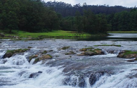 pykara waterfall, the beautiful cascade on pykara river located on foothills of nilgiri mountains, surrounded by pine forest, ooty, tamilnadu in india
