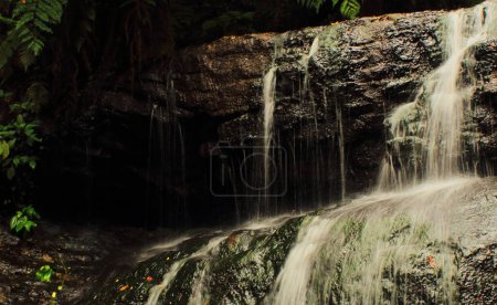 Téléchargez les photos : Belle cascade vattakanal sur le ruisseau levinge, dans une forêt tropicale humide sur les contreforts des montagnes palani à kodaikanal dans le tamilnadu. Inde - en image libre de droit
