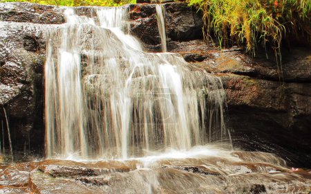 Téléchargez les photos : Belle cascade vattakanal sur le ruisseau levinge, dans une forêt tropicale humide sur les contreforts des montagnes palani à kodaikanal dans le tamilnadu. Inde - en image libre de droit
