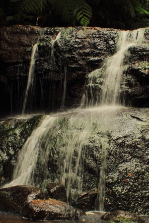 wunderschöner vattakanal wasserfall am levinge stream, in einem tropischen regenwald an den ausläufern der palani berge am kodaikanal, tamilnadu in indien