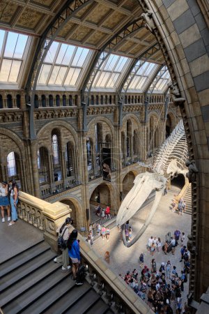 Foto de Corredores y escaleras del Museo de Historia Natural de Londres. - Imagen libre de derechos