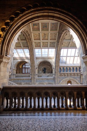 Téléchargez les photos : Architectural Marvel, Musée d'Histoire Naturelle, Londres. - en image libre de droit