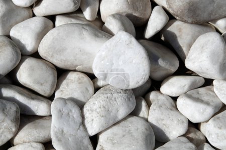 Téléchargez les photos : Arrière-plan - pierres de marbre blanc sur la côte d'une côte maritime unique - en image libre de droit