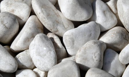 Téléchargez les photos : Arrière-plan - pierres de marbre blanc sur la côte d'une côte maritime unique - en image libre de droit