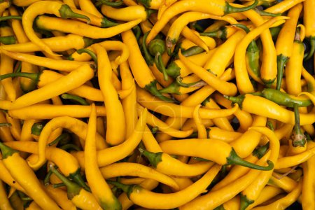 Foto de Detalle de pimientos amarillos maduros. Textura de muchos chiles cosechados en el mercado - Imagen libre de derechos