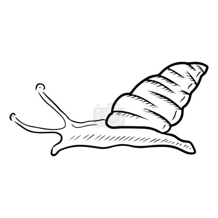 Illustration for Hand drawn vector sketch illustration in doodle line simple engraved style. Candy cane snail drawing isolated on white background. Cosmetic botanical art, mucus production, pest, face lifting,delicacy - Royalty Free Image