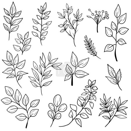 Zestaw różnych abstrakcyjnych gałęzi z liśćmi o różnych kształtach w czerni odizolowanych na białym tle. Ręcznie rysowane wektor szkic ilustracja w doodle grawerowane vintage stylu. Naturalne, botaniczne