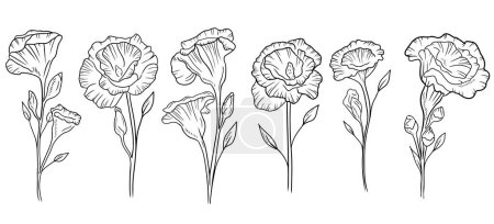 Illustration for Set collection of beautiful realistic eustoma flowers in black isolated on white background. Hand drawn vector sketch illustration in vintage, doodle engraved style. Decoration, wedding, floristics - Royalty Free Image
