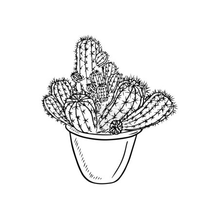 Téléchargez les illustrations : Cactus réaliste plante Echinopsis, mammillaria en pot en isolat noir sur fond blanc. Illustration de croquis vectoriels dessinés à la main en contour gravé vintage doodle, style line art. Maison, cadeau - en licence libre de droit