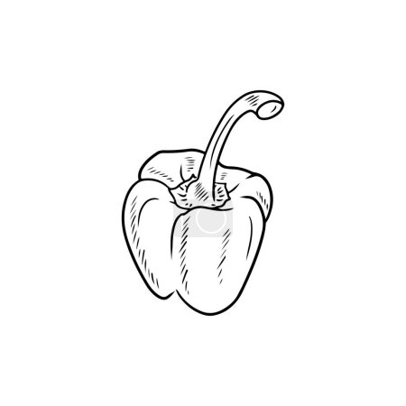 Téléchargez les illustrations : Poivron bulgare réaliste en noir isolé sur fond blanc. Illustration de croquis vectoriels dessinés à la main dans le style ligne art gravé doodle. Légumes frais savoureux, ingrédient pour salade, cuisine - en licence libre de droit