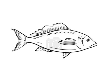 Realistic silver carp fish in black isolated on white background. Hand drawn vector sketch illustration in doodle engraved vintage style. Concept of fish, seafood, caviar, restaurant menu, icon