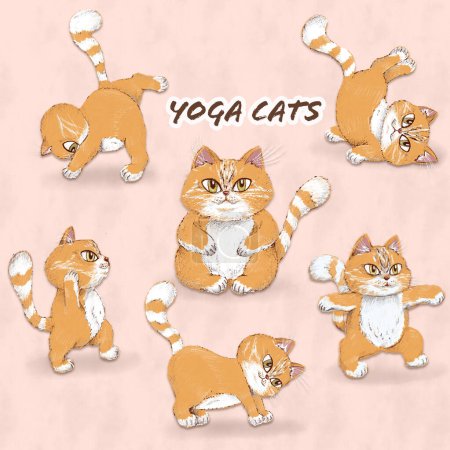 Téléchargez les photos : Raster Cartoon Cats en postures ludiques Faire du Yoga - en image libre de droit